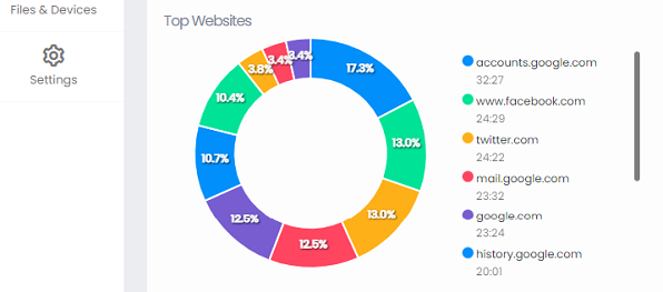 HomeGuard Productivity Monitor, Top Websites